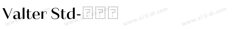Valter Std字体转换